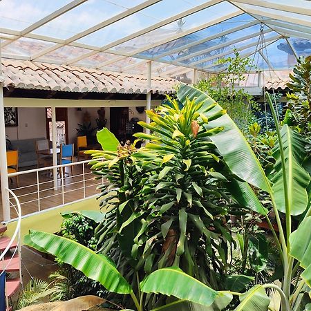 Hotel Barrio Antiguo San Cristóbal de Las Casas エクステリア 写真